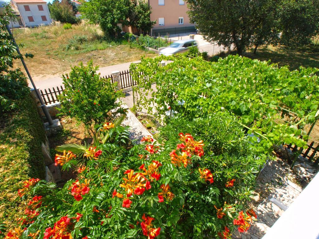 Apartments Zlatko 1397 Štinjan Dış mekan fotoğraf